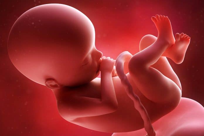 Dados mostram que as definições ultrassonográficas de aborto podem não ser seguras