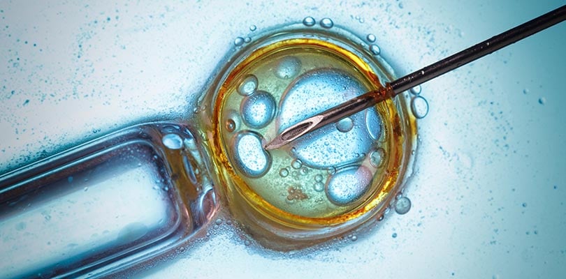 dificuldade para engravidar - fertilização in vitro