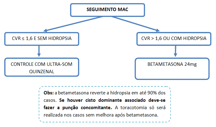 maccGG