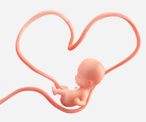Artéria Umbilical Única, o que significa isto para seu bebê?
