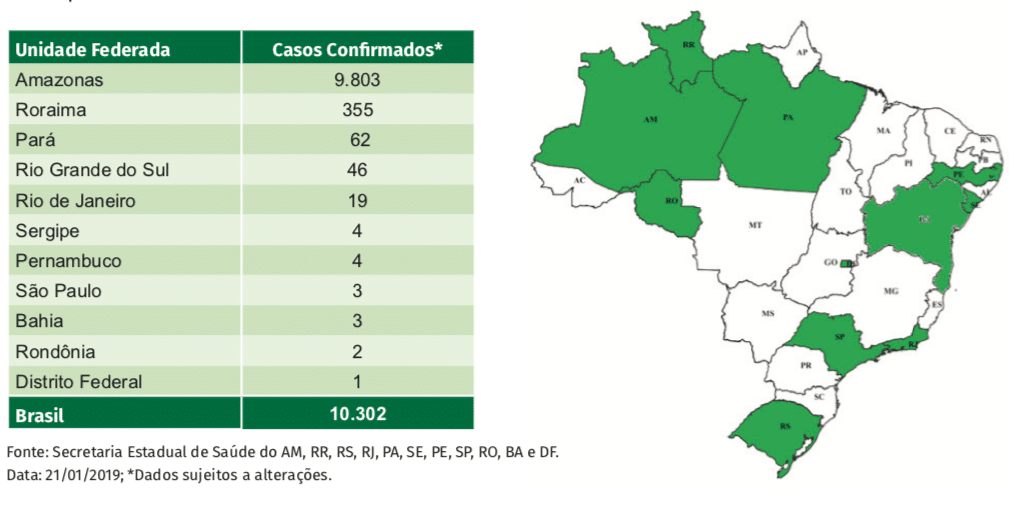 Sarampo no Brasil