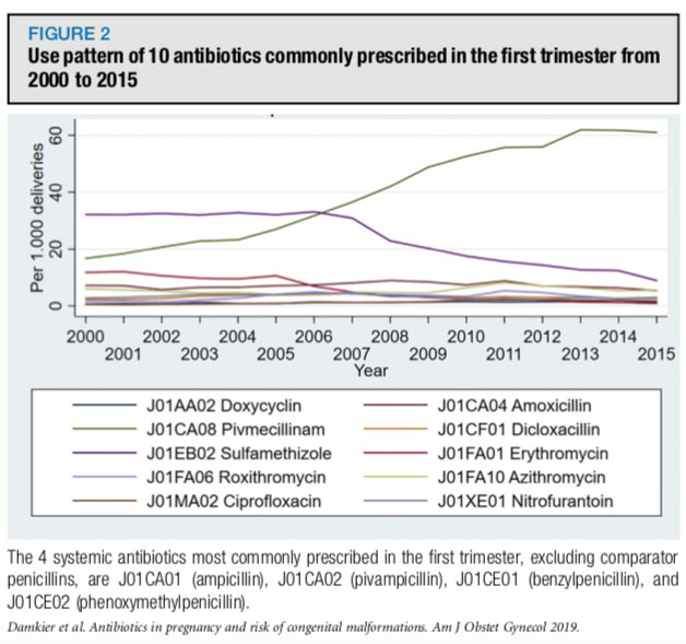 Antibióticos e Gravidez
