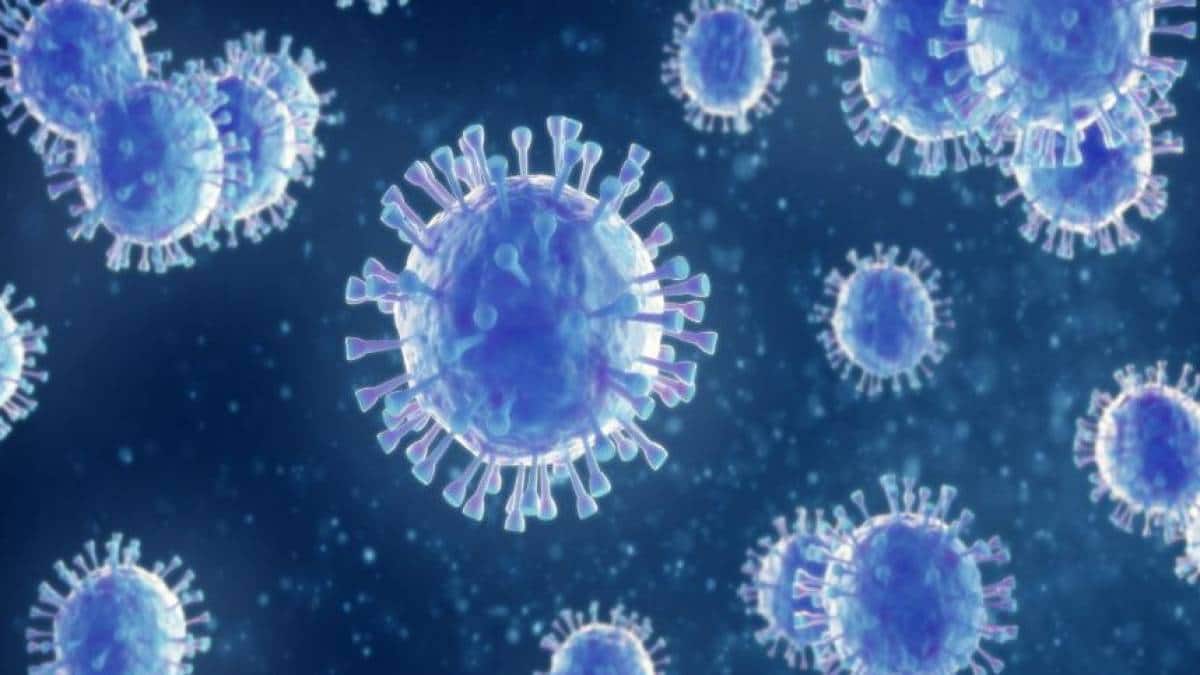 O que as gestantes devem saber sobre o Coronavírus