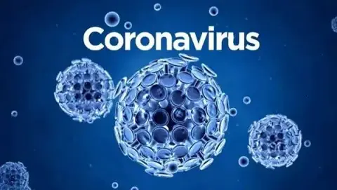 Publicada a primeira evidência de transmissão vertical do coronavírus
