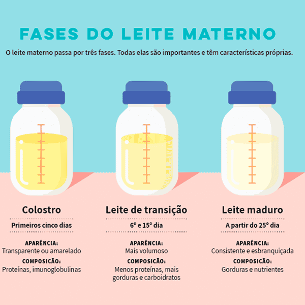 Fases do Leite Materno e Colostro