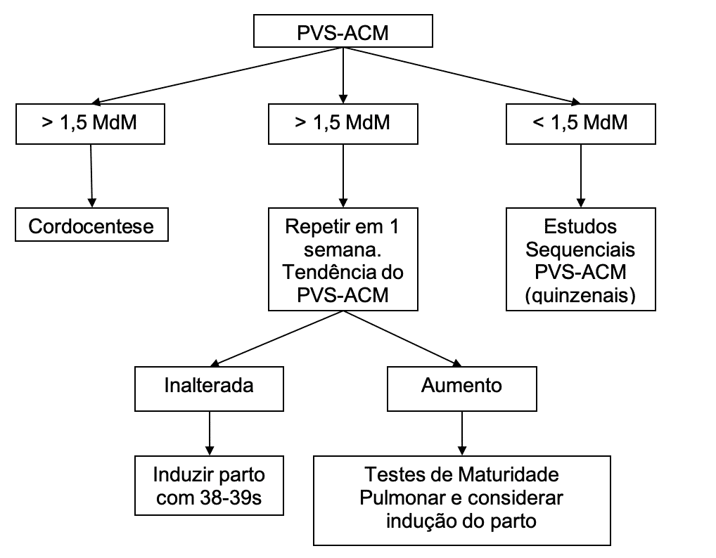 Fator Rh: o que é e qual a função do exame