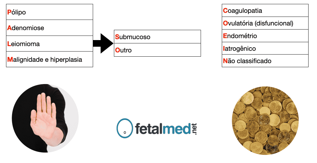 Sistema Palm Coin Figo