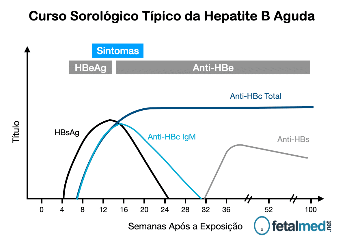 Curso Sorológico da Hepatite B