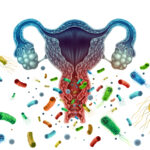 Vaginose bacteriana na gravidez: o que…