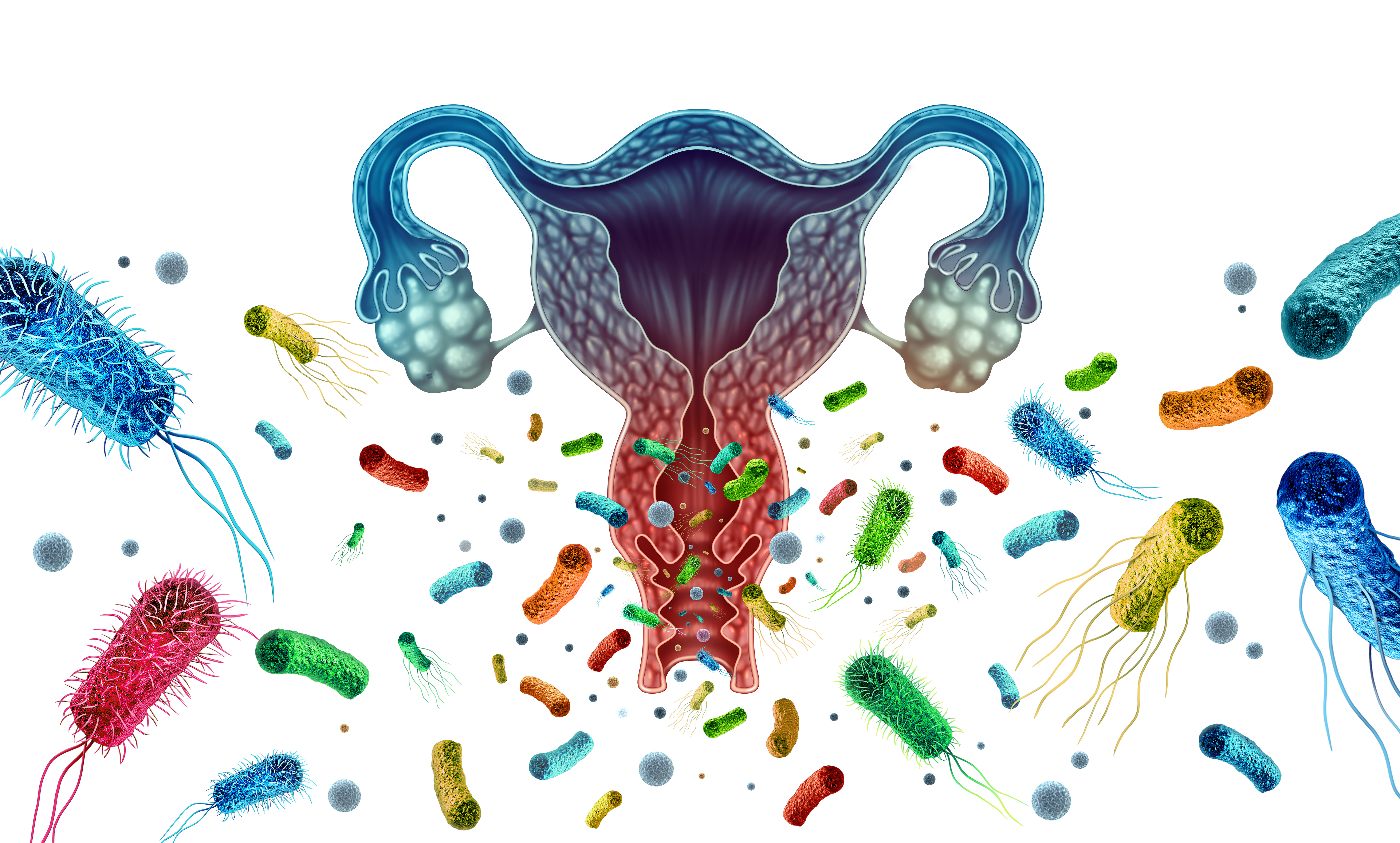 Vaginose bacteriana na gravidez: o que você precisa saber